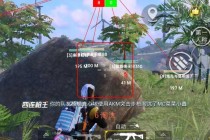 和平精英【紫火】直装辅助